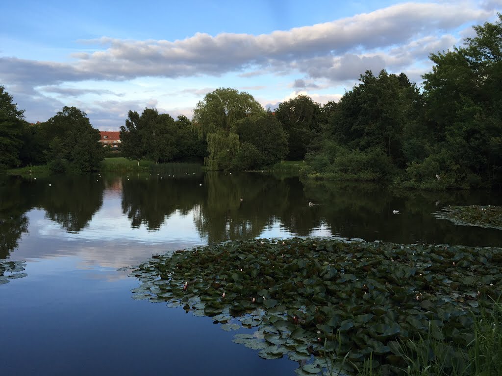 Brønshøjparken 20/07/2015 by Mikkel Jellesen