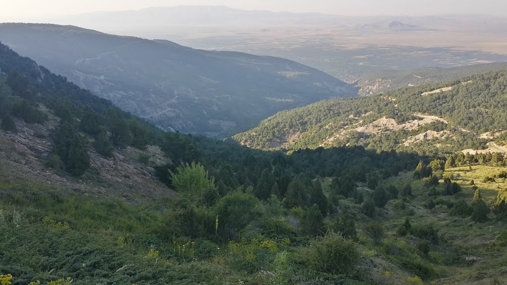 Dereçine/Sultandağı/Afyonkarahisar, Turkey by Gökhan Erdoğan