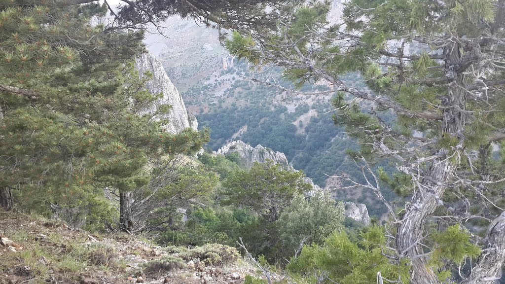 Dereçine/Sultandağı/Afyonkarahisar, Turkey by Gökhan Erdoğan