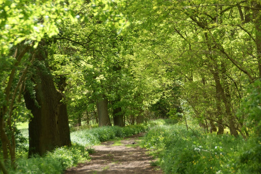 Landweg Güterfelde - Sputendorf by Jef Doro