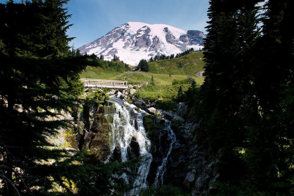 Paradise, Mt. Rainier National Park by Cal Wolfe