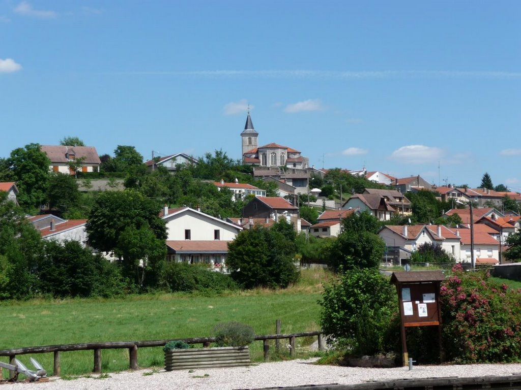 Richarménil (vu du canal côté Moselle) by ZykZak