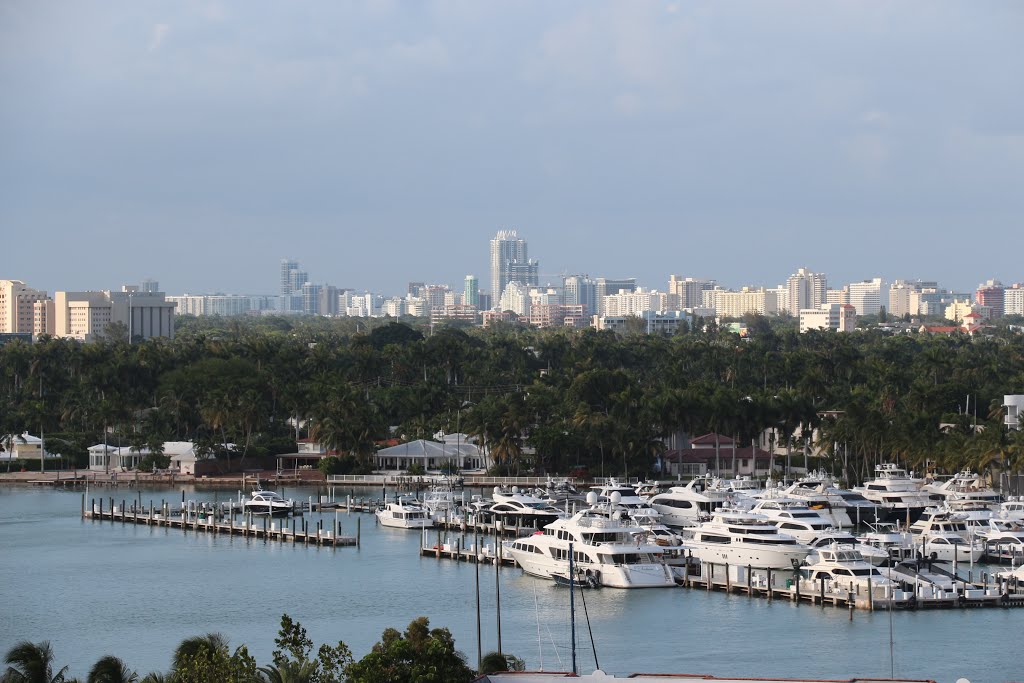 LB - City, trees and boats by Luis O. Boettner