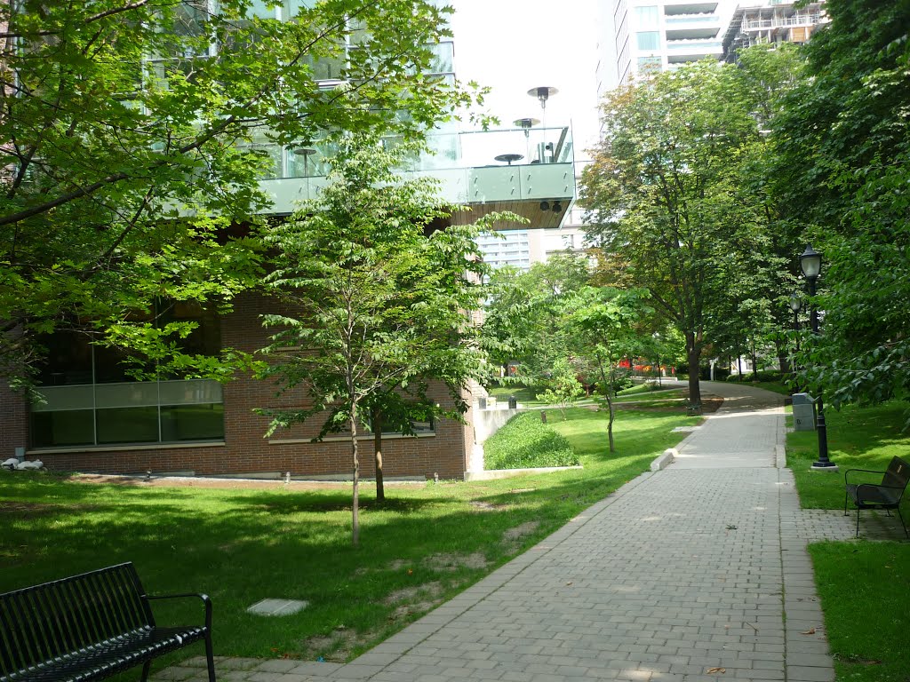 University, Toronto, ON, Canada by Pietia cQuza