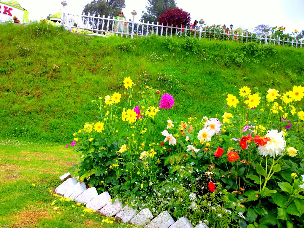 Flowers,Pudumund, Ooty, Tamil Nadu, India by Kamalakar Anthati