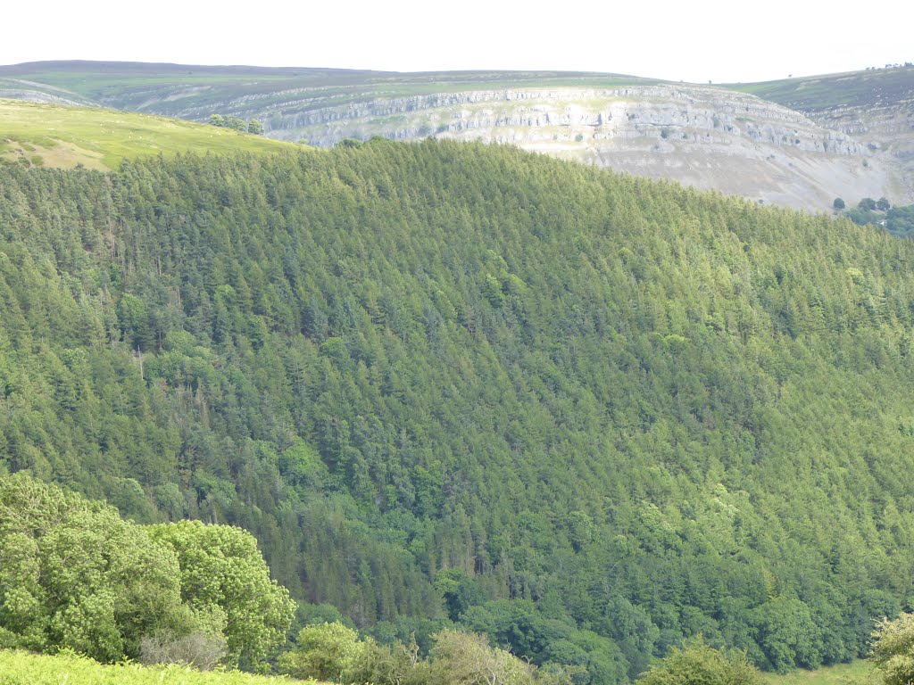 Llantysilio, UK by Peter Hodge