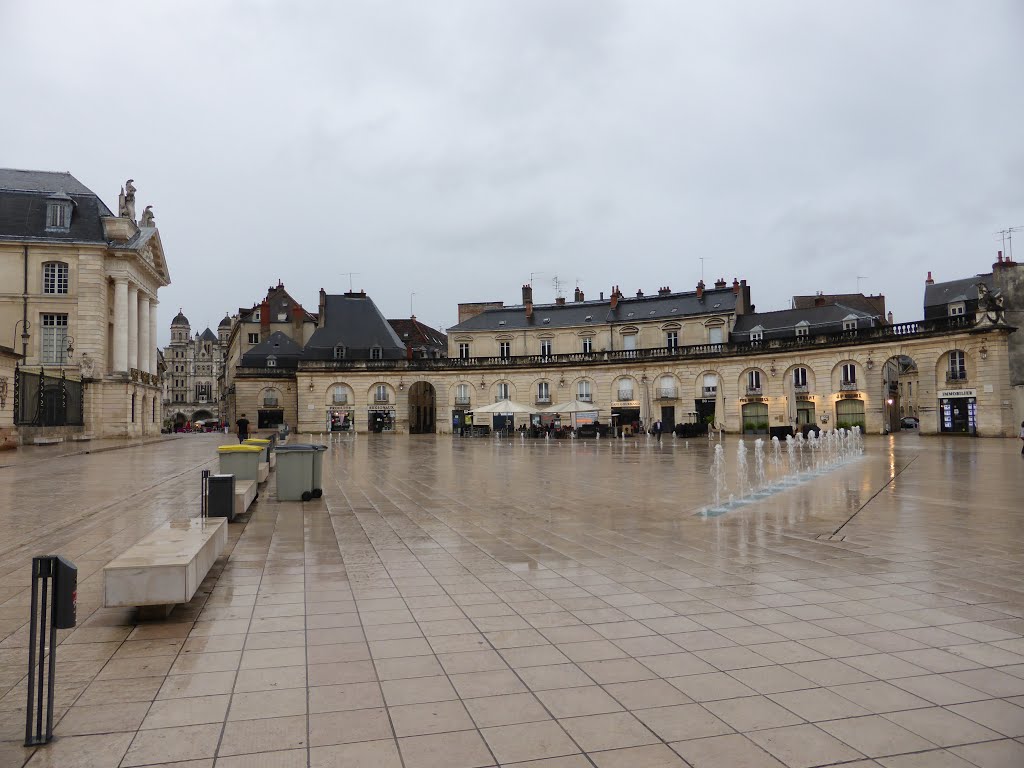 Place de la Libération by Peter Silie