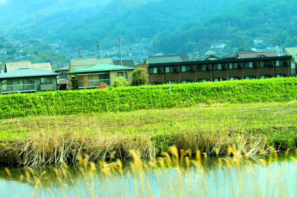 Chino, Nagano Prefecture 391-0001, Japan by quanphe ngoduc