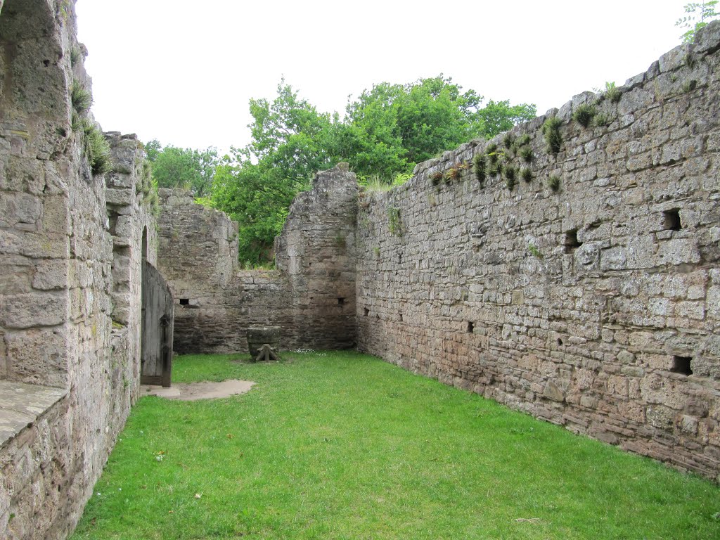 Remains of the ruined Norman chapel at Brockhampton Court, Bromyard, Herefordshire by oldchippy