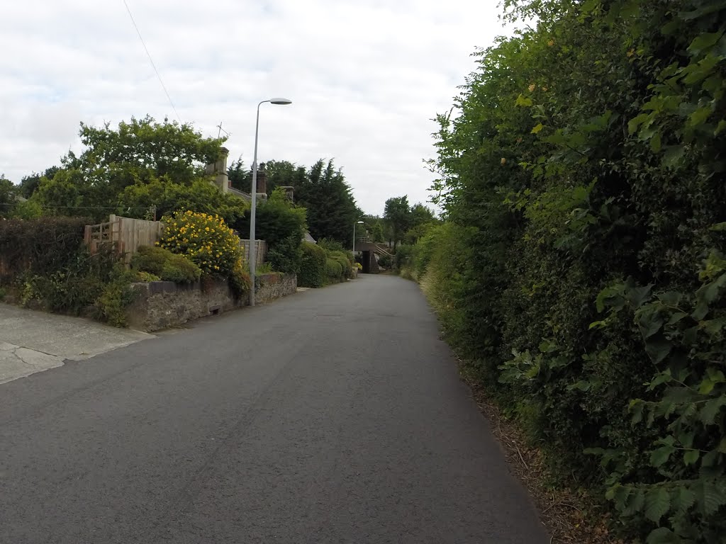 Llanllechid, UK by Alan C. Bonnici