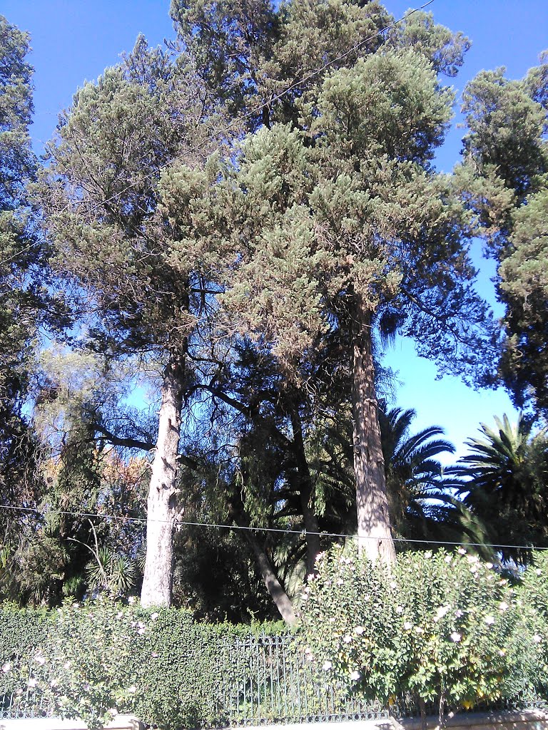 Queru Queru, Cochabamba, Bolivia by Grover Garcia Torric…