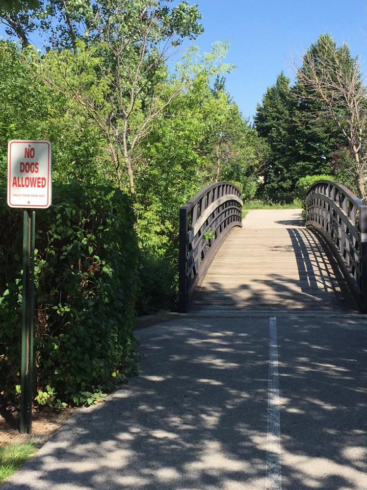 Centennial Park, Tinley Park IL - bridge on path by cmnolan