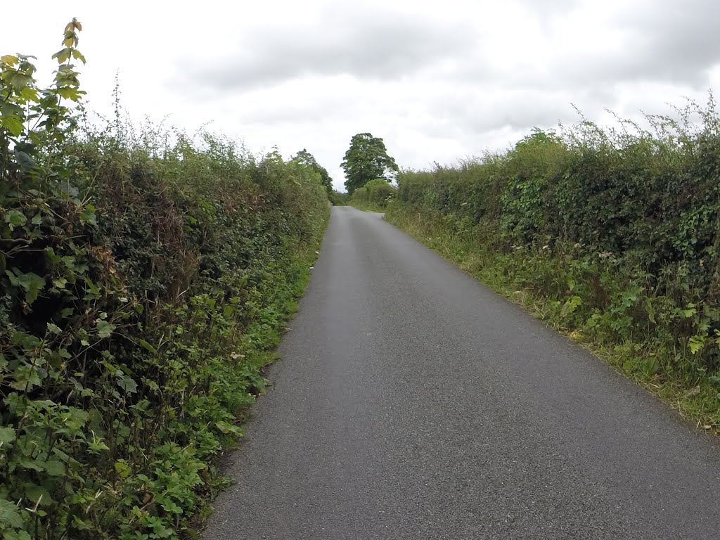 Llandygai, UK by Alan C. Bonnici