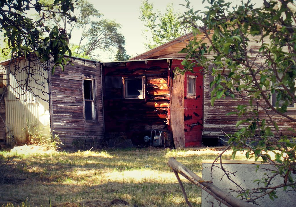 Sheds by Diane MP