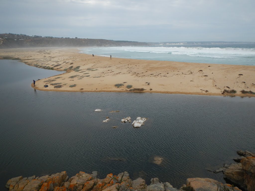 Humedal y playa de Tunquén by Juan Francisco Busto…