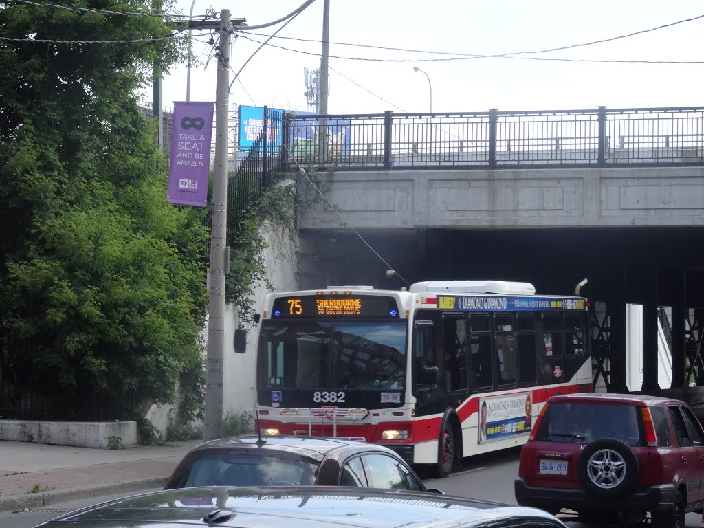 TTC bus 8382 on Lower Jarvis, 2015 07 18 (1).JPG by OldYorkGuy