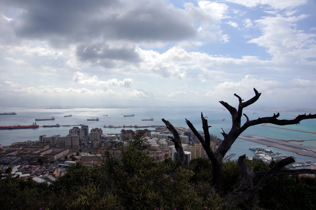 直布羅陀海峽, 直布羅陀, 2014 Gibraltar by wbl.will