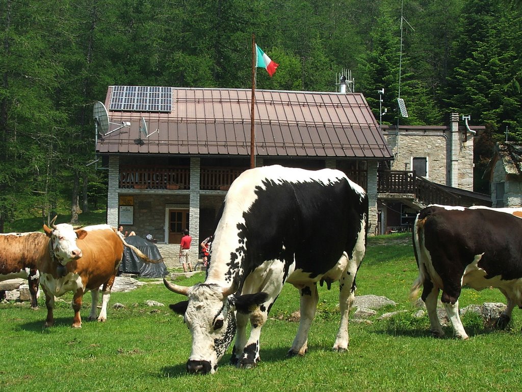 Rifugio Amprimo by arboreus