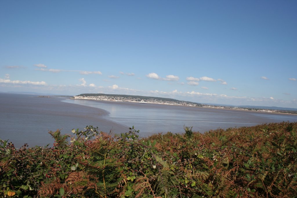 Weston super Mare from Brean Down by turktowner