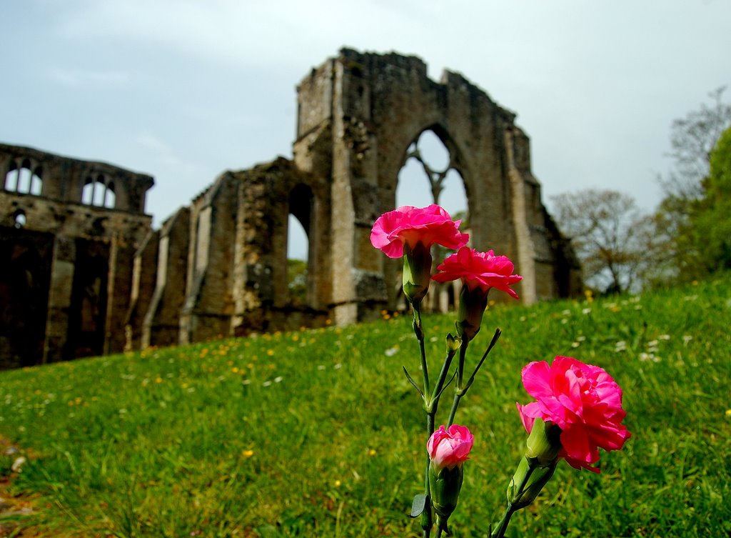 Netley Abbey by steve9091