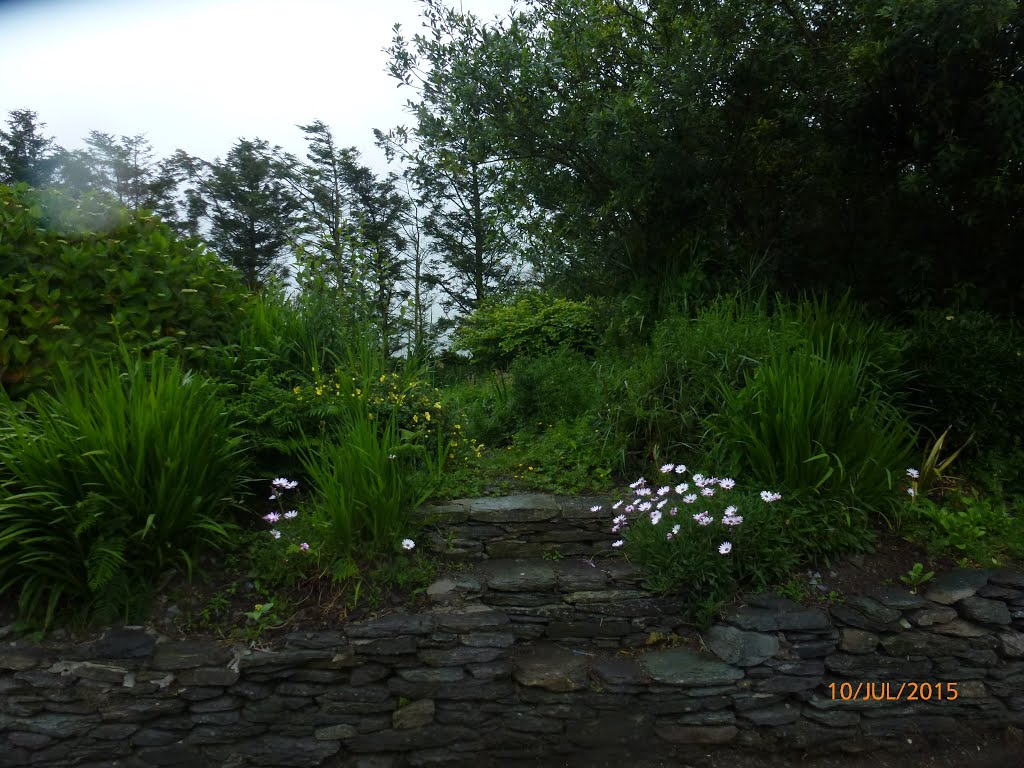 Portmagee, Co. Kerry, Ireland by Jane Jackson