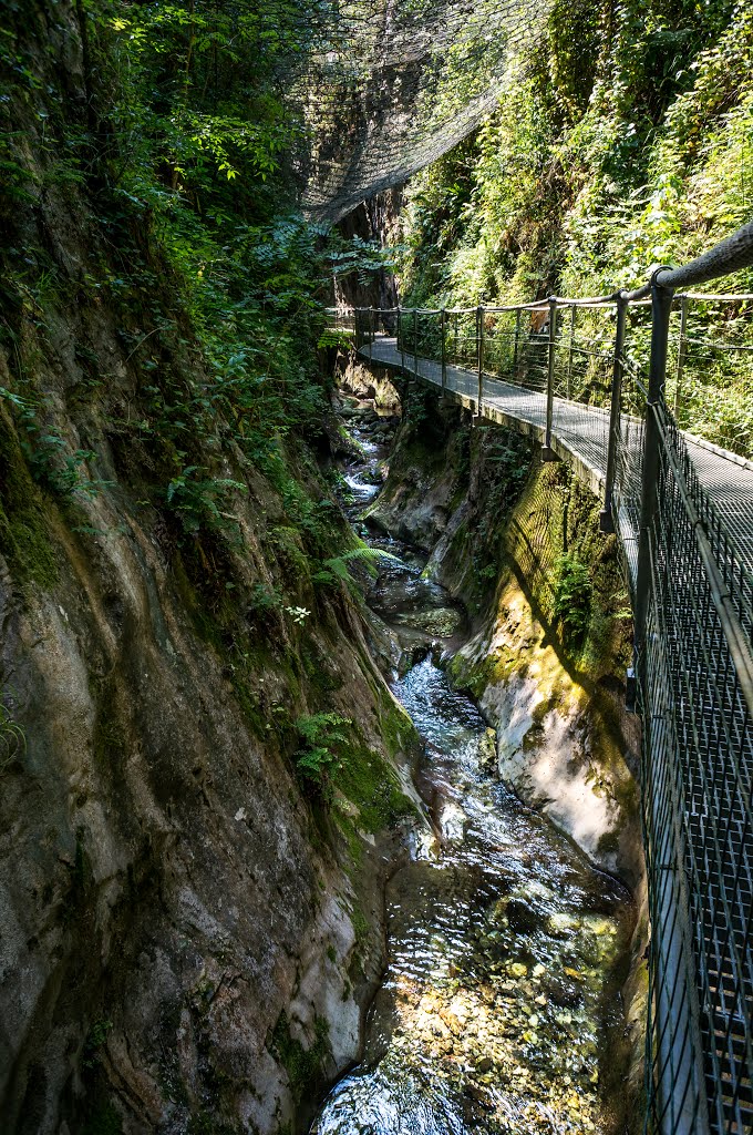 Gorges de la Fou by Nicolas Fourcade