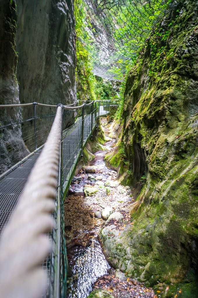 Gorges de la Fou by Nicolas Fourcade