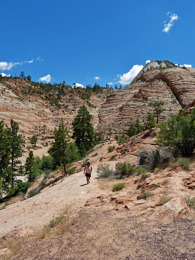 Utah.Zion National Park by sunmaya