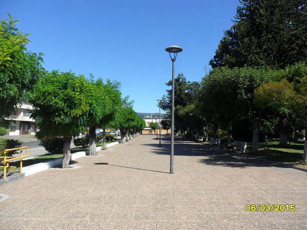 Plaza de armas de Curacautín marzo 2015. by fotomau84