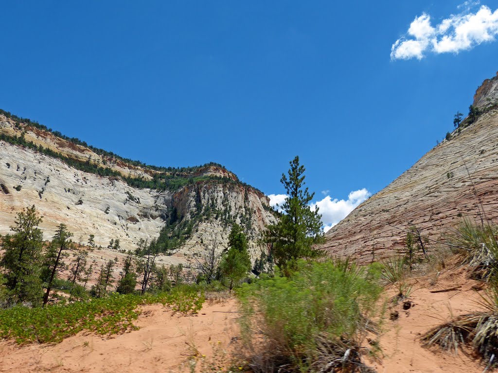 Utah.Zion National Park by sunmaya