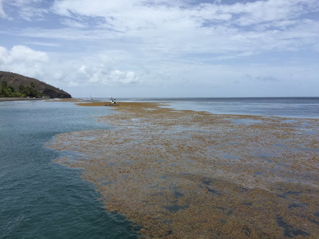 N2, Le Carbet, Martinique by rvfr67