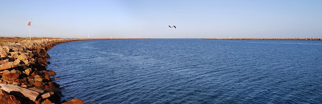 Outer harbor panorama by bill doyle