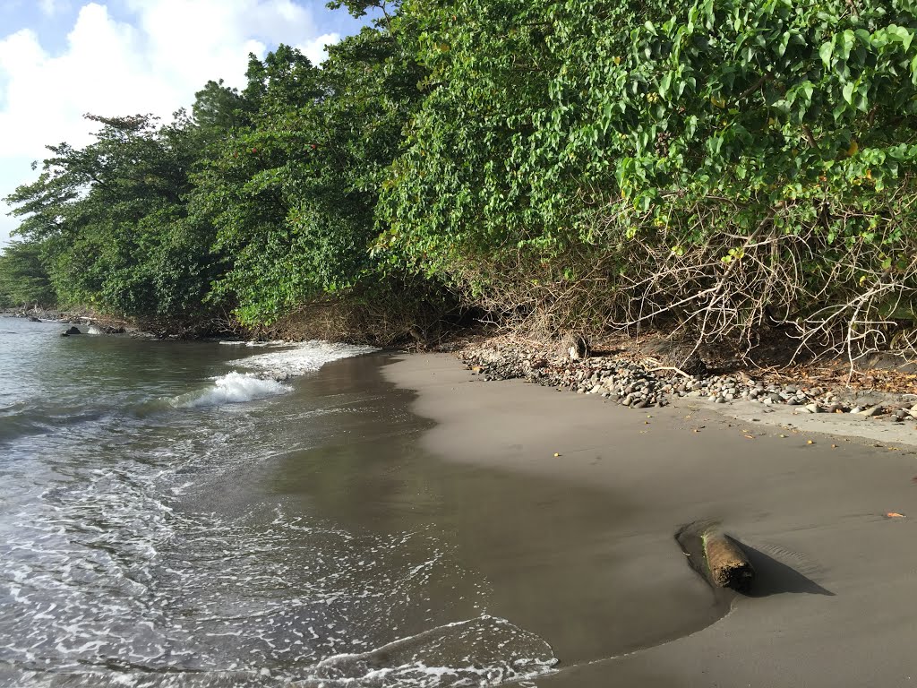 Le Prêcheur, Martinique by rvfr67