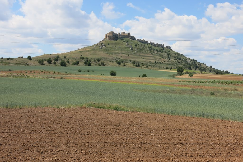 Landschaft bei Gormaz, Bergrücken mit Burgruine by Günther Bogensberger