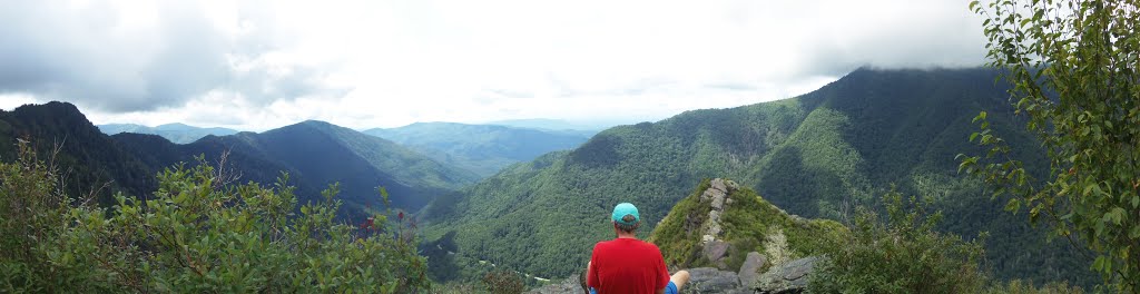 Panoramic view from Chimney Tops by N Plutonium