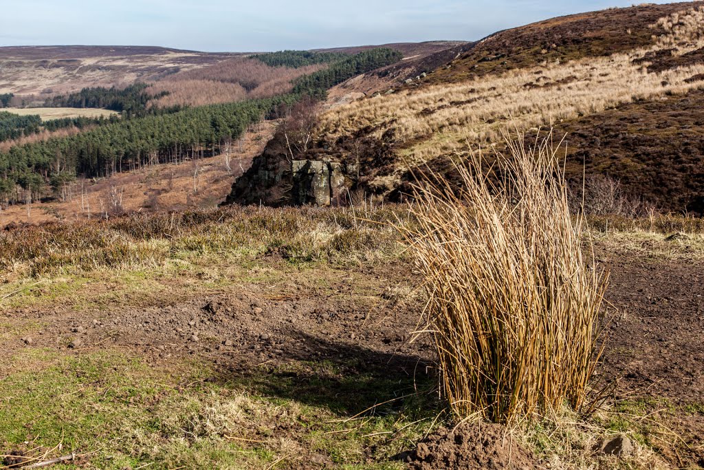 Ingleby Greenhow, UK by Nogin TheNog