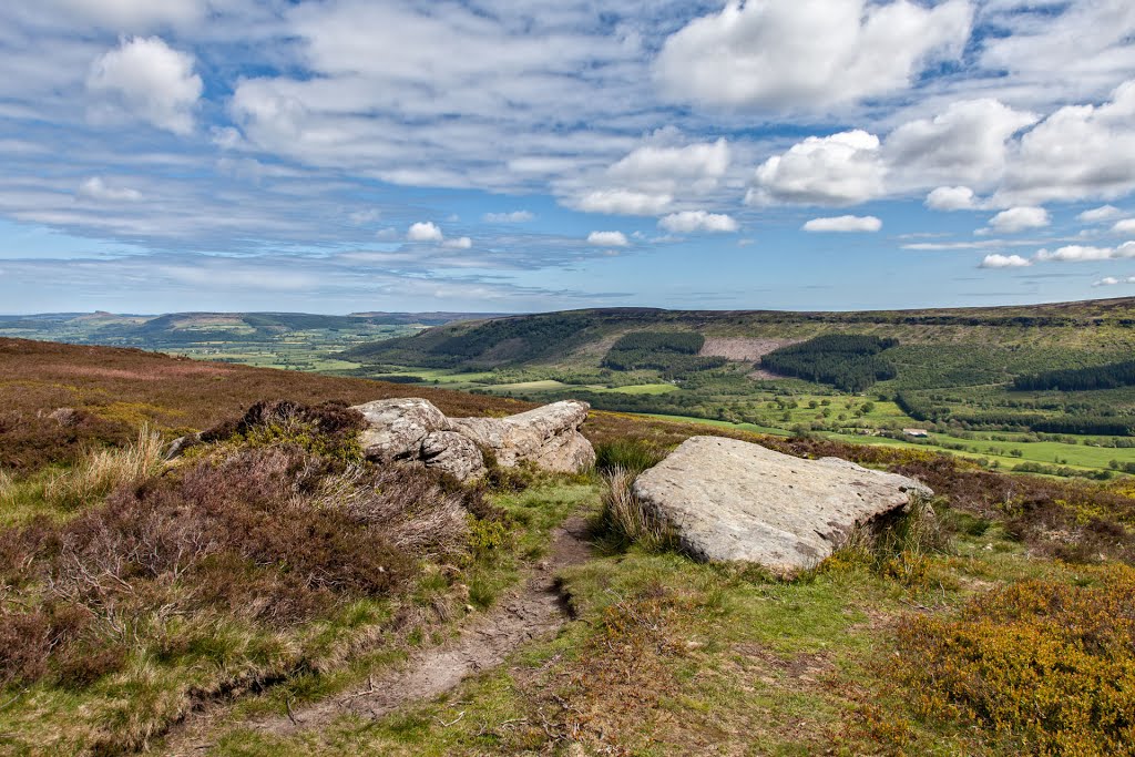 Ingleby Greenhow, UK by Nogin TheNog