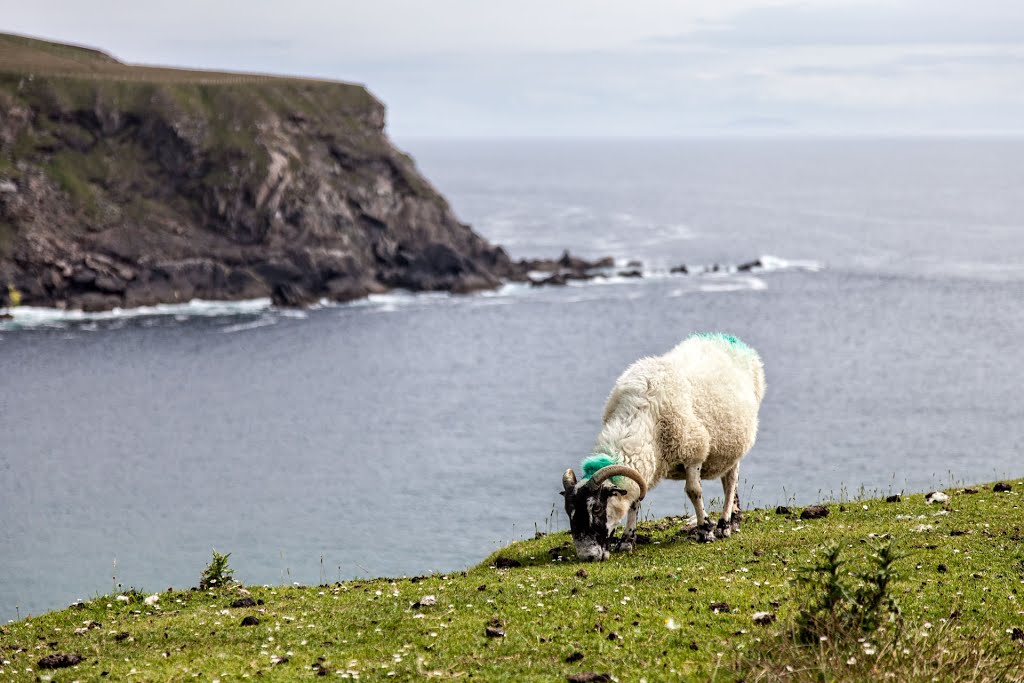 R263, Malin Beg, Co. Donegal, Ireland by Nogin TheNog