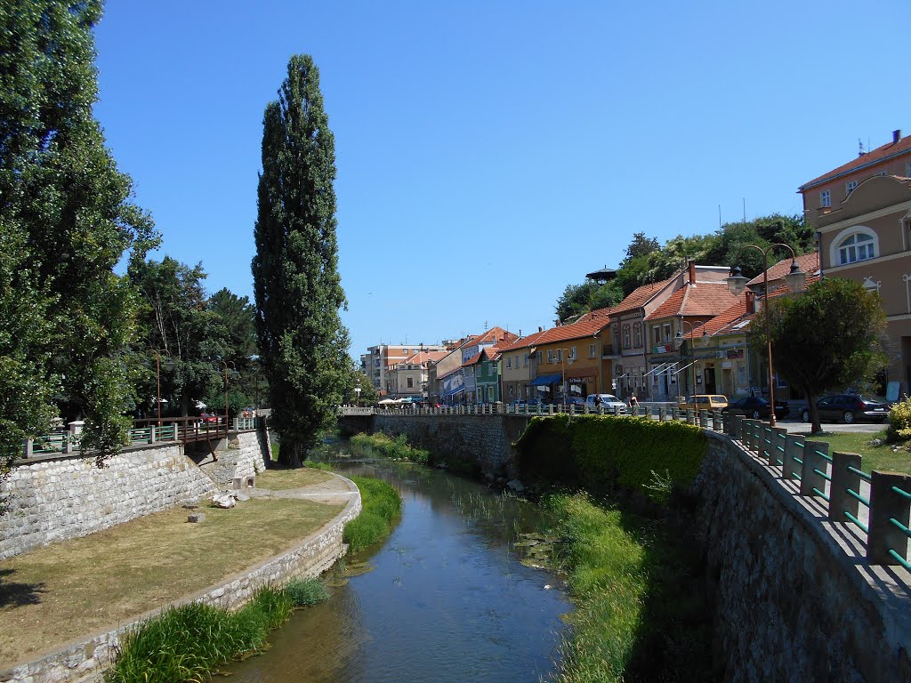 Svrljiški Timok by Splitski Četnik