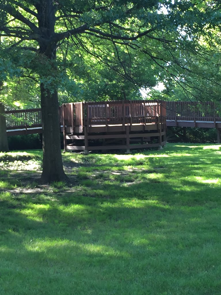 Springbrook Nature Center deck by enzop324