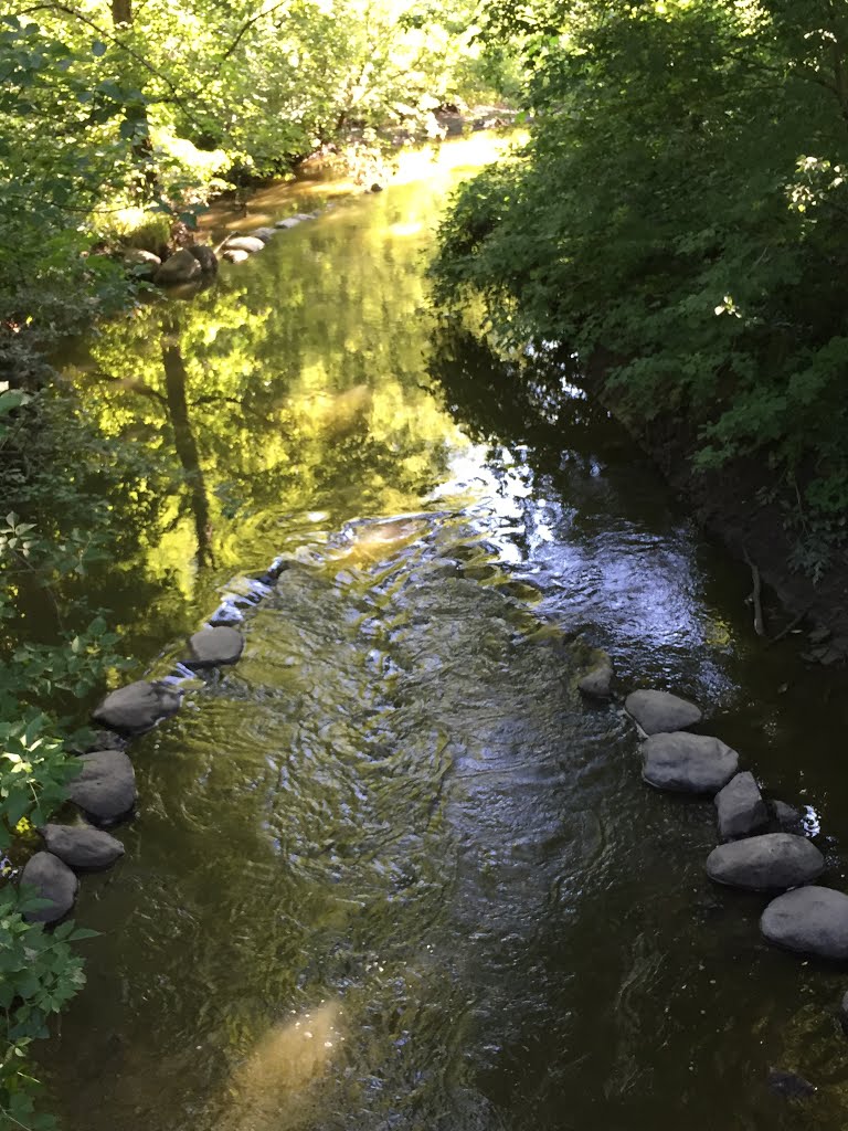 Springbrook Nature Center creek by enzop324