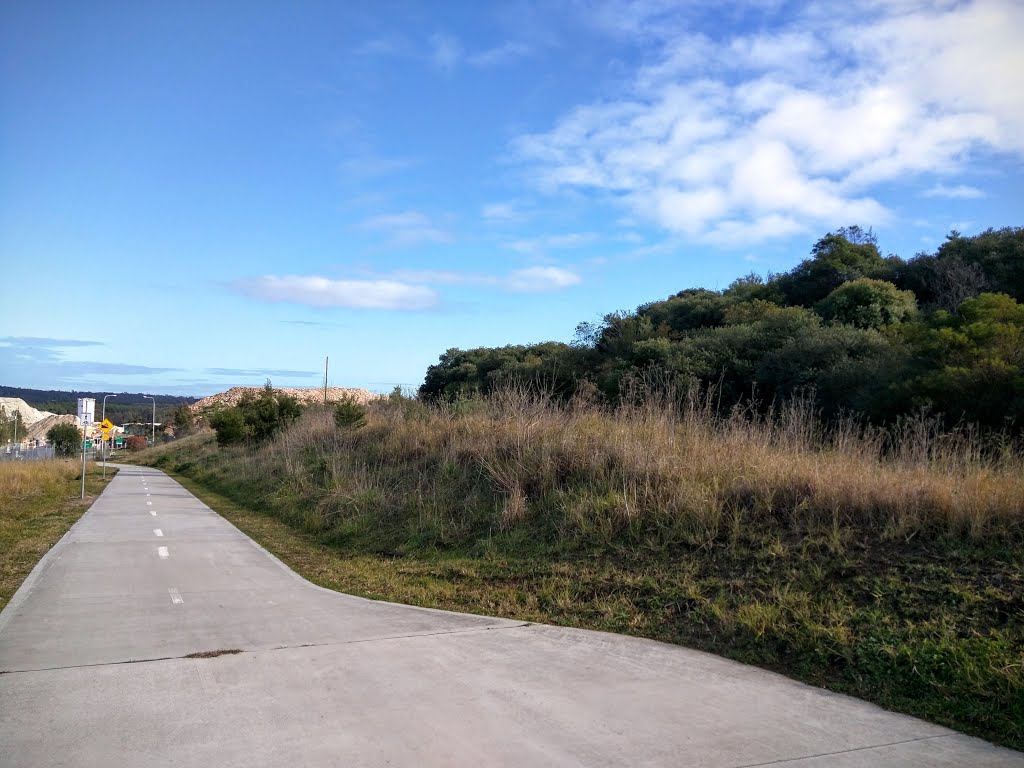 Pemulway, Greystanes, Guildford Cycleway by saran singh