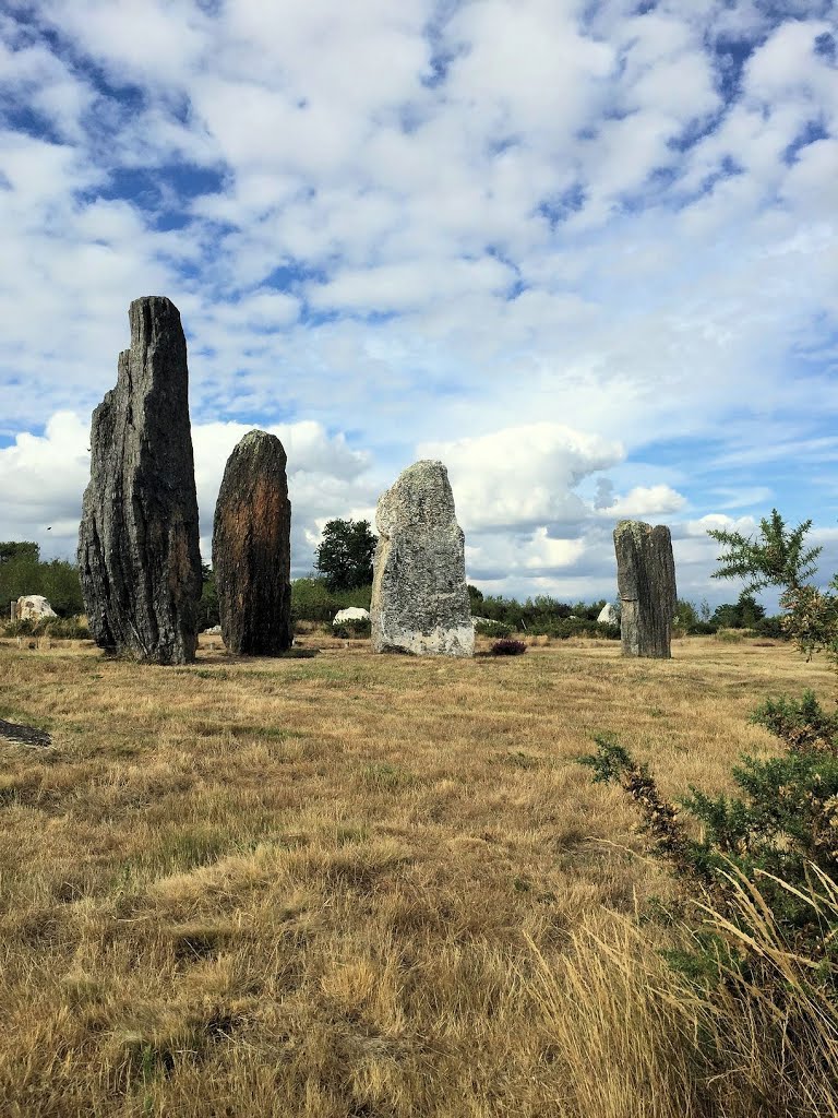 Alignement de Cojoux by Benoît CHIPAUX