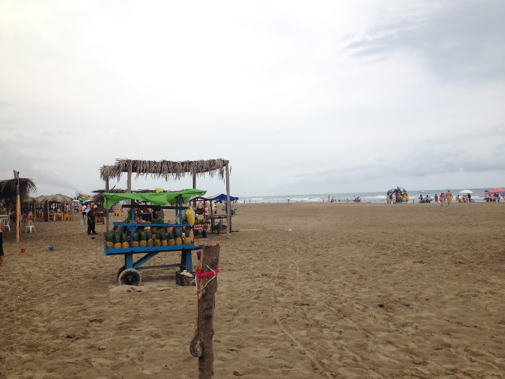 Hacia el Norte_ Paisaje playero de la Barra Norte_ Primavera 2015 by Fabio Zacarías-Socor…