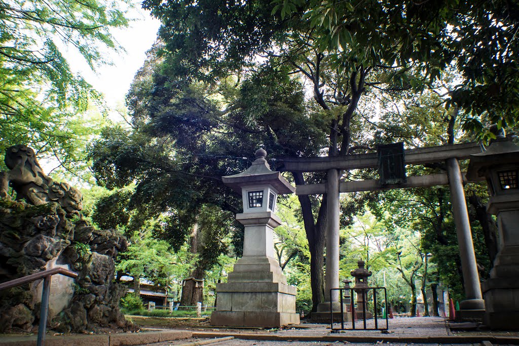 Second torii gate, Hikawa shrine(赤坂氷川神社二の鳥居) by Junichiro Hoshikawa