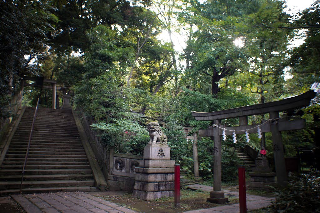 Shiawase-inari shrine(四合稲荷前) by Junichiro Hoshikawa