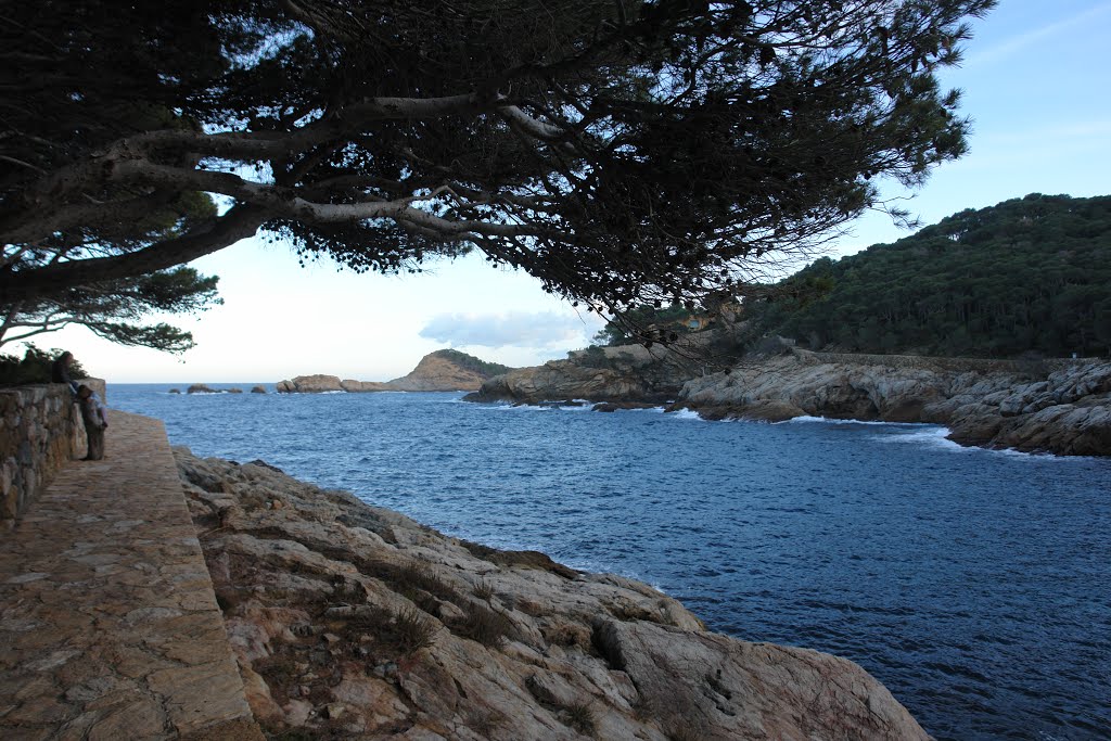 Cala Aiguafreda de Begur by Montse Masó