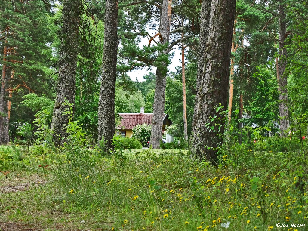 Vosu Village Estonia by Jos Boom