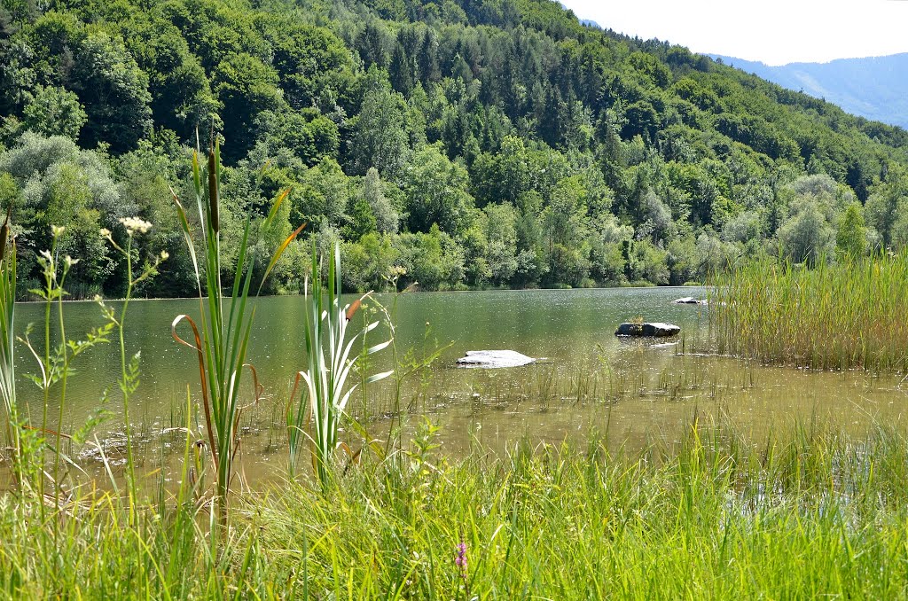 Fischteich, St.Margareten im Rosental by Jan Sosnowski