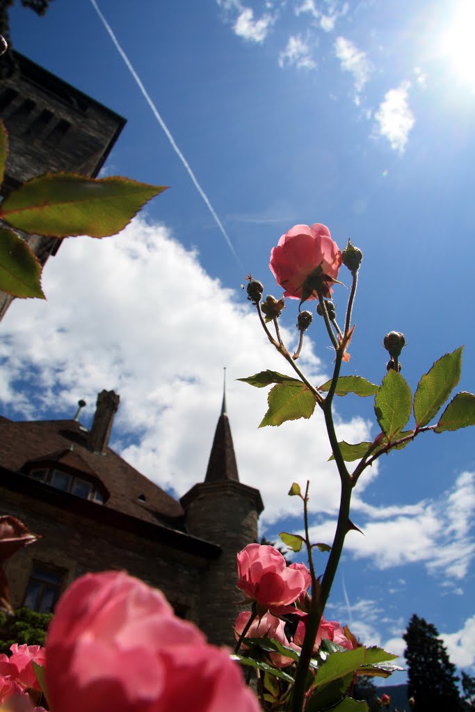 Sierre - Evasion céleste by Charly-G. Arbellay